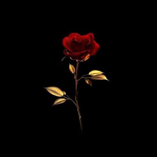 3rd tier: Sha'Korah Rael Rose